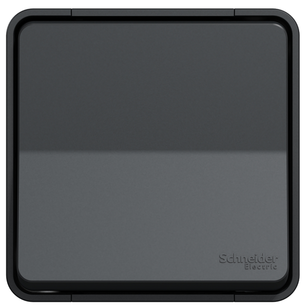 Interrupteur poussoir saillie Schneider Mureva Styl complet anthracite