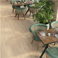 Carrelage imitation bois intérieur Naturel grès cérame émaillé – 120x23.3cm ép. 8.7mm
