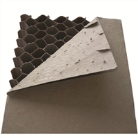Coffrage Solvide Maille de 19 mm - 1200x2000 MM - Ép.100 MM