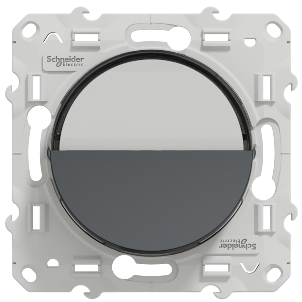 Poussoir avec porte-étiquette Schneider Odace - anthracite - 10A 250V