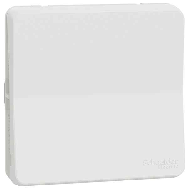 Poussoir Schneider Mureva Styl - IP55 - IK08 - blanc - 10A 250V