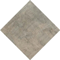 Carrelage extérieur effet bois Edilis Woodtech - 60 CM x 60 CM - ép. 20 MM - Douglas