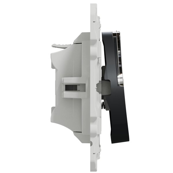 Poussoir avec porte-étiquette Schneider Odace - anthracite - 10A 250V