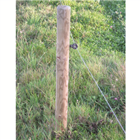 Piquet en pin Diam. 100 mm - Traité Classe 4 Vert - L.2,50 M