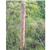 Long. 1,50 ml