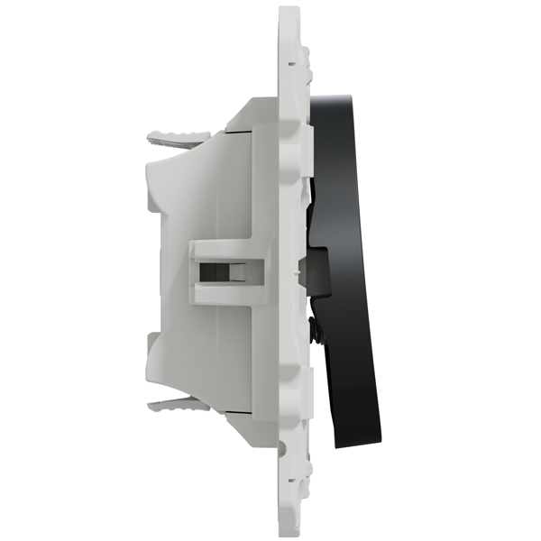 Interrupteur double poussoir Schneider Odace anthracite - 10A 250V