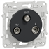 Prise TV FM et SAT Schneider Odace anthracite M CEI - IEC F - type F