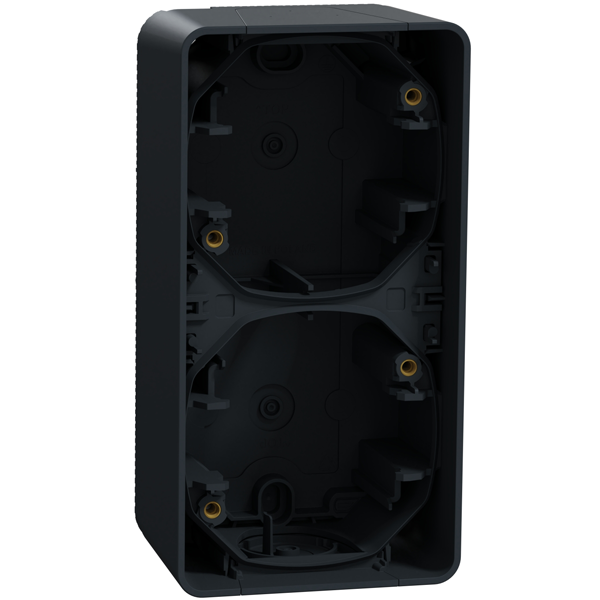 Boîtier 2 postes saillie verticale Schneider Mureva Styl anthracite