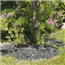 paillage