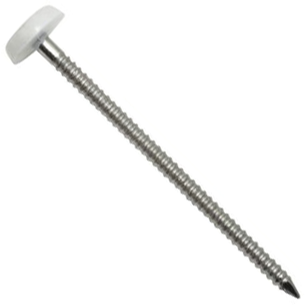 Pointe annelée Elos Ø 2 MM longueur 30 MM tête Blanche boîte de 100