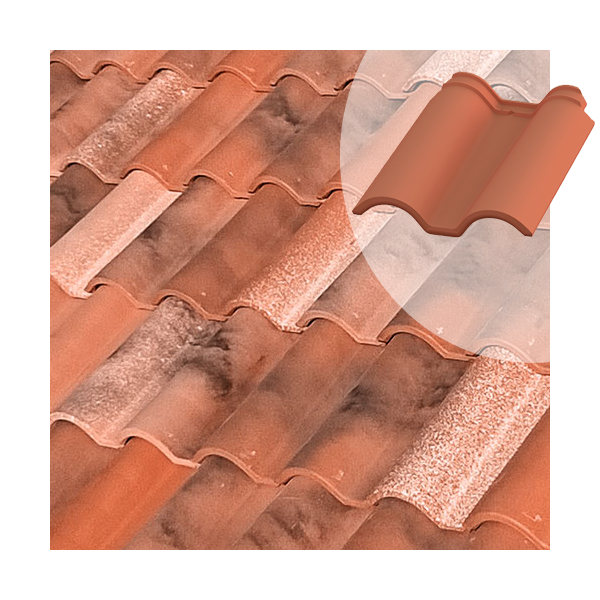 Tuile et demie TB-12 Tejas Borja  - Nature Castilla - 436 MM x 360 MM
