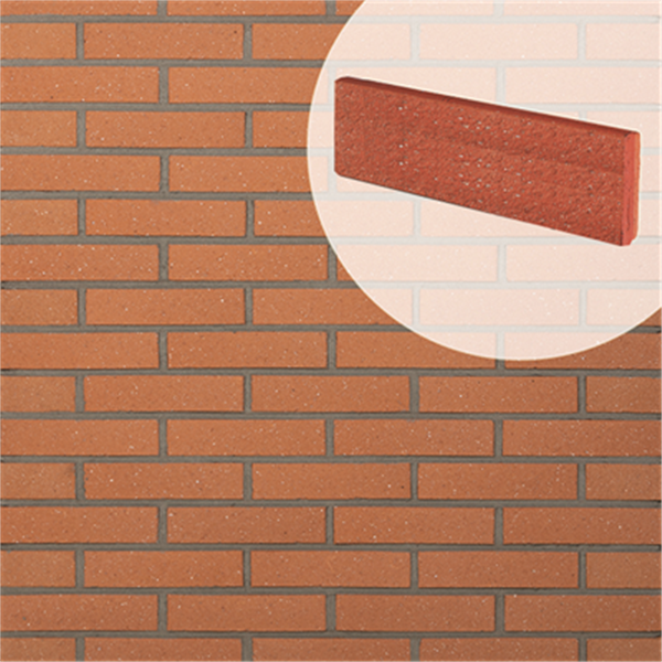 Plaquette parement mural terre cuite sablé Terreal 220x50x14mm Rouge