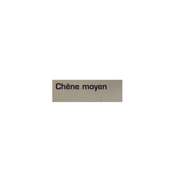 Pâte bois petites réparations intérieures PBEX Cecil chêne moyen 250gr