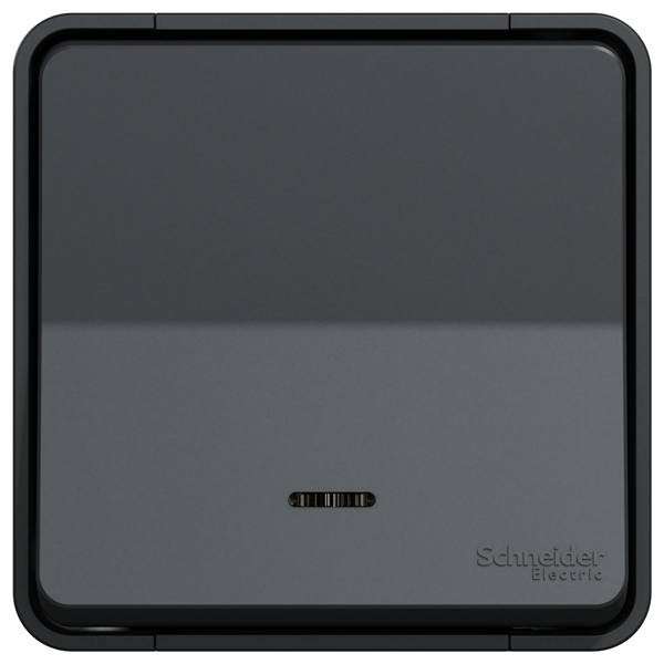 Poussoir en saillie lumineux Schneider Mureva Styl - anthracite