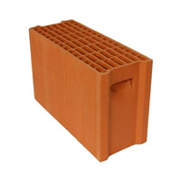 Biobric Brique BGV'Thermo Ht. 31,4 cm - 50x20 cm - R = 1,25