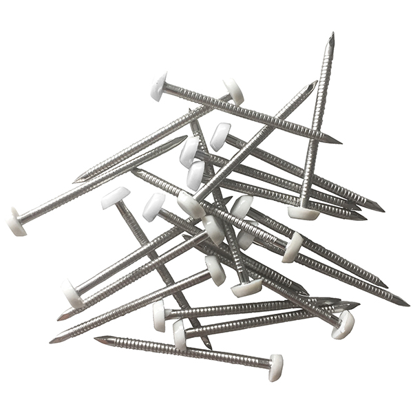 Pointe annelée Elos Ø 2,5 MM longueur 50 MM tête Blanche boîte de 100