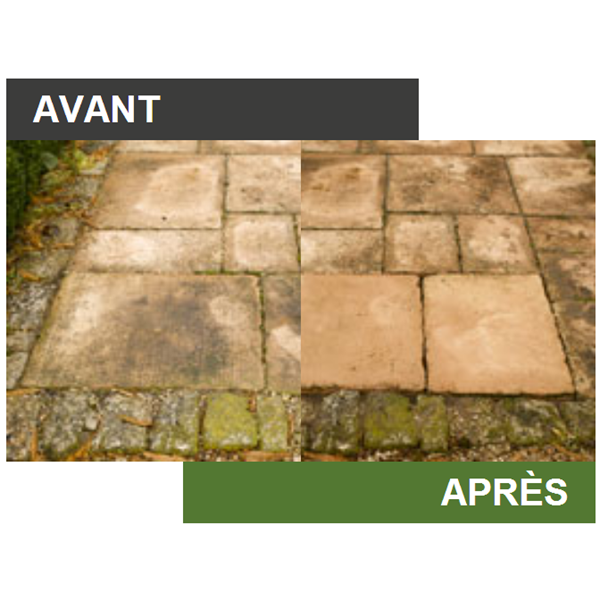 Nettoyant dallage et sol extérieur Alginet dallages 5 L Algimouss 081002
