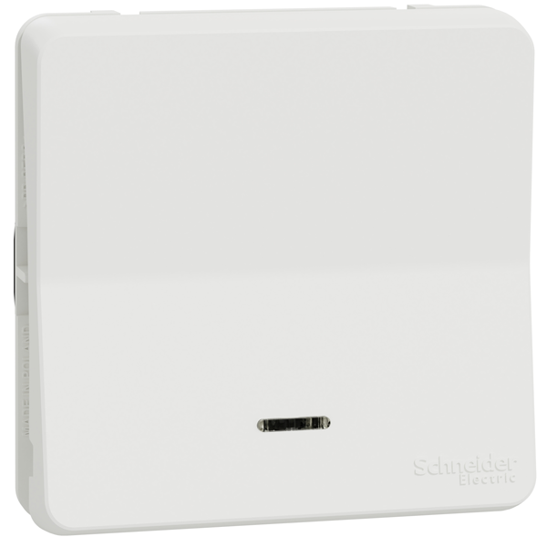 Va-et-vient lumineux Schneider Mureva Styl IP55 blanc 10AX 250V