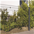Panneau rigide clôture AXIS®M 40200 grands plis Dirickx -  - Ht.1,52 MTR