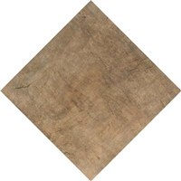 Carrelage extérieur effet bois Edilis Woodtech - 60 CM x 60 CM - ép. 20 MM - Oak