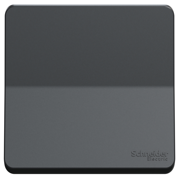 Poussoir Schneider Mureva Styl - IP55 - IK08 - anthracite - 10A 250V