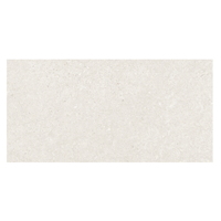 Faïence murale effet pierre - Edilis Evora - 60,0 CM x 30,0 CM - ép. 8,5 MM - Blanc