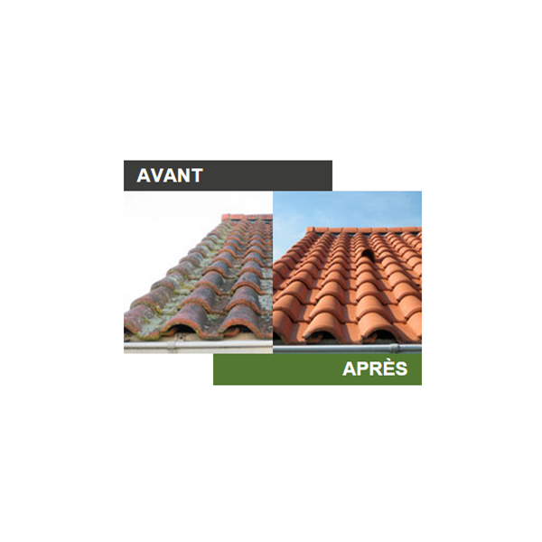 Algimouss Pro - Traitement fongicide toitures murs et façades - Bidon de 30 litres