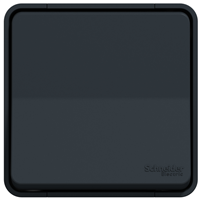 Va-et-vient en saillie Schneider Mureva Styl complet - anthracite