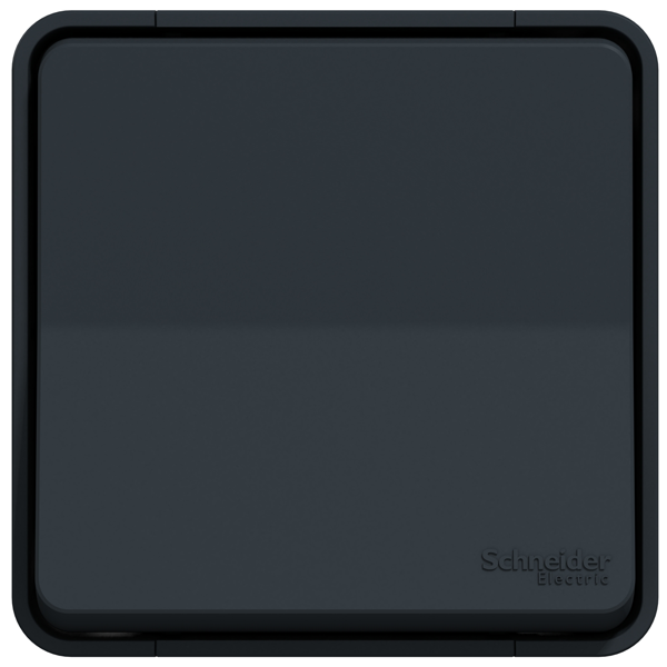 Va-et-vient en saillie Schneider Mureva Styl complet - anthracite