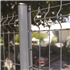 Poteau à sceller Dirckx Axor pour panneau rigide - Gris - 2.4 M