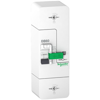 Disjoncteur de branchement Schneider 1P+N - calibre 60A - instantané