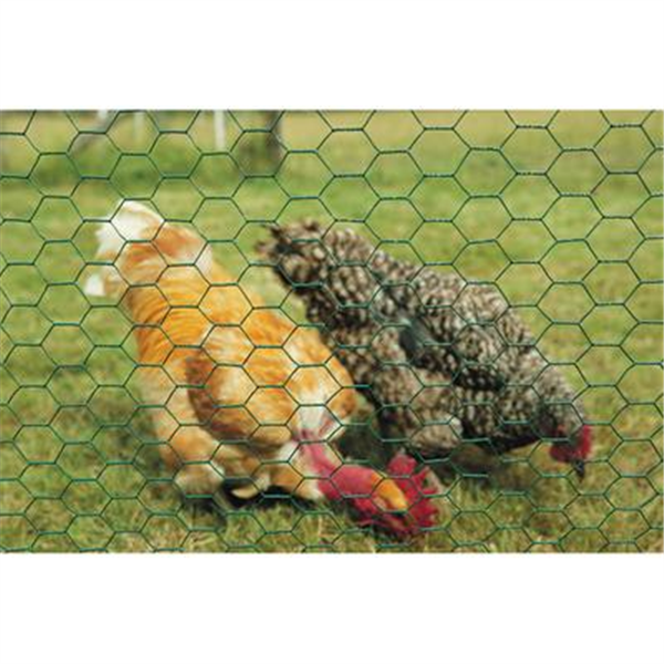 Grillage TTX triple torsion galvanisé H.1,00m - Rlx 50m - maille 25mm - Diam. 0,80mm