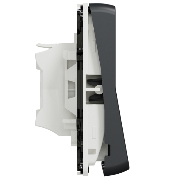 Poussoir Schneider Mureva Styl - IP55 - IK08 - anthracite - 10A 250V
