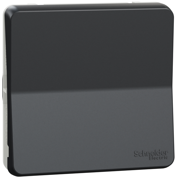 Poussoir Schneider Mureva Styl - IP55 - IK08 - anthracite - 10A 250V