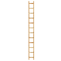 Échelle de couvreur en bois lasuré - 16 échelons - 4 m - entraxe 25 cm