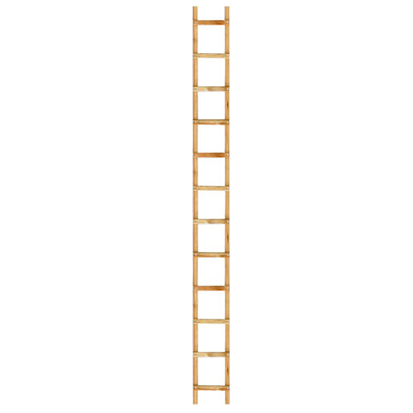 Échelle de couvreur en bois lasuré - 24 échelons - 6 m - entraxe 25 cm