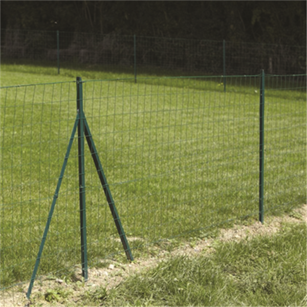 Poteau TE clôture rouleau Dirickx 30x30x3 MM hauteur 2 M