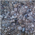 Sable-gravier alluvionnaire roulé lavé 0/12 mm Godet 0,25 m³