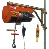 Treuil DM 200/F "Super Pro" 200 kg électrique monophasé Altrad 701200