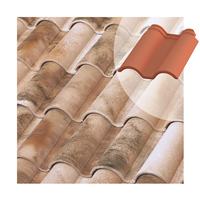 Tuile et demie TB-12 Tejas Borja  - Nature Lamalou - 436 MM x 360 MM