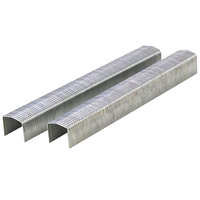 Agrafe galvanisée Bostitch STCR5019 11 mm x 10 mm - boîte de 5000