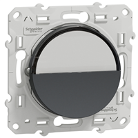 Poussoir avec porte-étiquette Schneider Odace - anthracite - 10A 250V