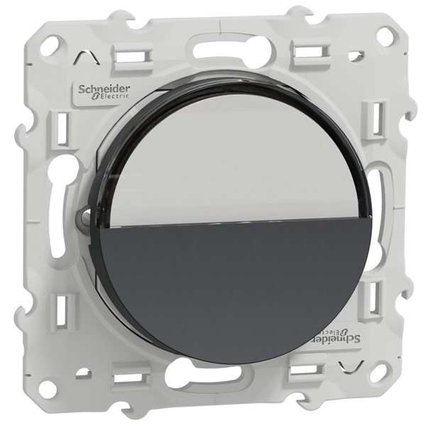 Poussoir avec porte-étiquette Schneider Odace - anthracite - 10A 250V