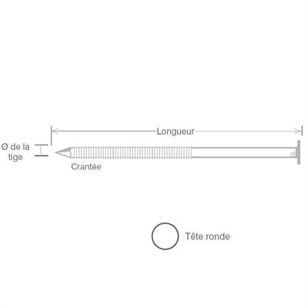 Pointes inox A4 SPIT rouleau cloueur pneumatique Ø 2,5x50mm 1950 pcs