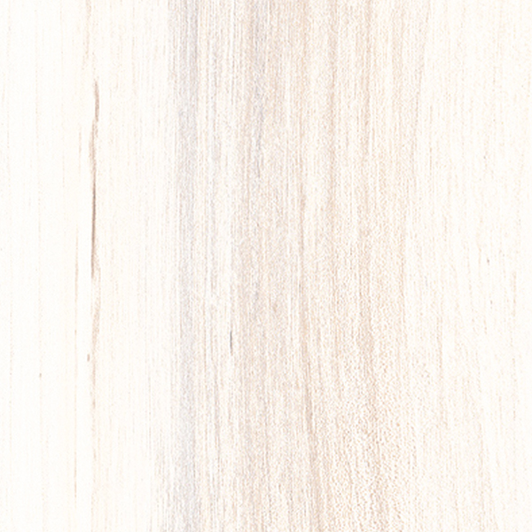 Carrelage intérieur effet bois Living - 61 CM x 15 CM - ép. 9 MM - Bianco