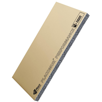 Doublage isolant Placomur Performance BA13+120 MM - R = 3,80 m².K/W - 2,60 M x 1,20 M