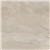 Coloris beige