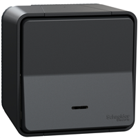 Poussoir en saillie lumineux Schneider Mureva Styl - anthracite