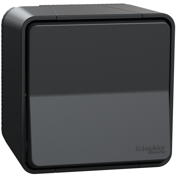 Interrupteur poussoir saillie Schneider Mureva Styl complet anthracite