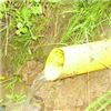 Drainage - Epandage